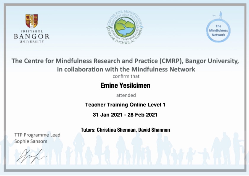 Bangor University MBSR Teacher Training